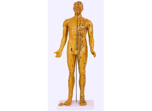 针灸铜人模型80CM